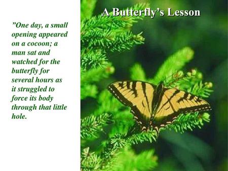 A Butterfly’s Lesson ”One day, a small opening appeared on a cocoon; a man sat and watched for the butterfly for several hours as it struggled to force.