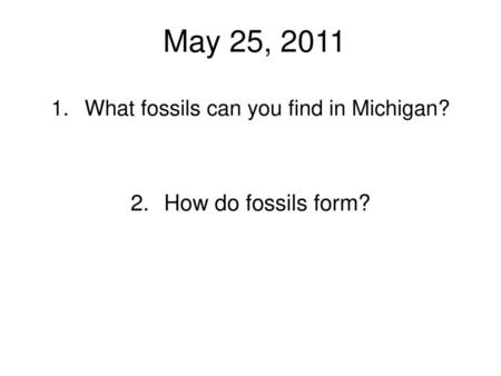 What fossils can you find in Michigan? How do fossils form?