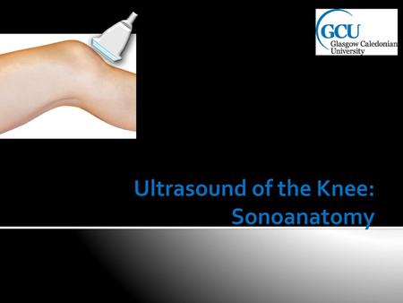 Ultrasound of the Knee: Sonoanatomy