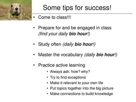 Some tips for success! Come to class!!!