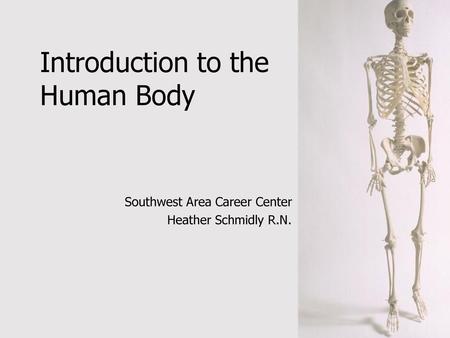 Introduction to the Human Body