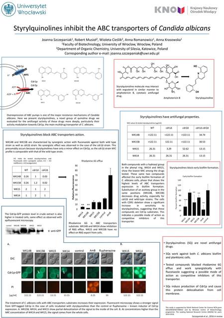 Styrylquinolines inhibit the ABC transporters of Candida albicans