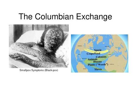 The Columbian Exchange