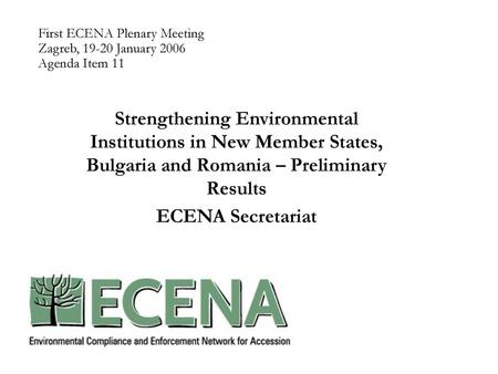 First ECENA Plenary Meeting Zagreb, January 2006 Agenda Item 11