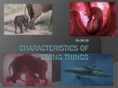 Characteristics of Living Things