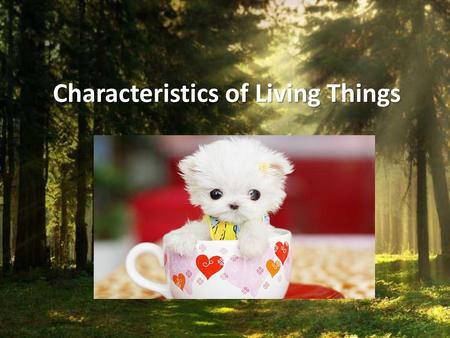 Characteristics of Living Things