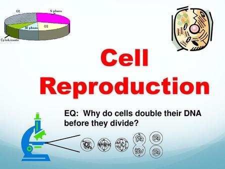 Cell Reproduction This PowerPoint has many animated slide progressions. You may only want to print the following slides: 1-11, 14-15, 22-47 EQ: Why.