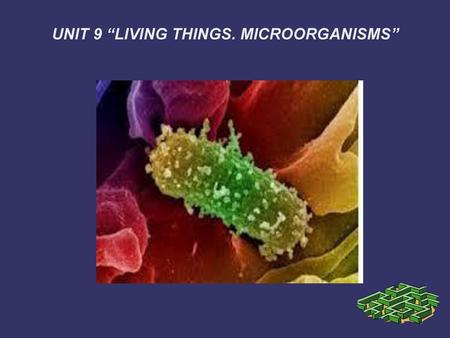 UNIT 9 “LIVING THINGS. MICROORGANISMS”