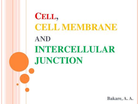 Cell, CELL MEMBRANE and INTERCELLULAR JUNCTION