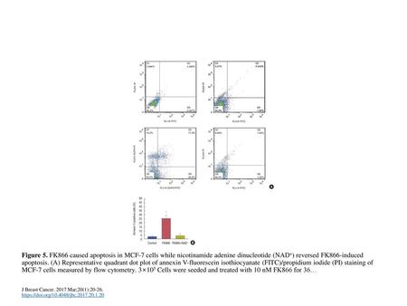 Figure 5. FK866 caused apoptosis in MCF-7 cells while nicotinamide adenine dinucleotide (NAD+) reversed FK866-induced apoptosis. (A) Representative quadrant.