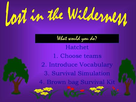 Lost in the Wilderness What would you do? Hatchet Choose teams