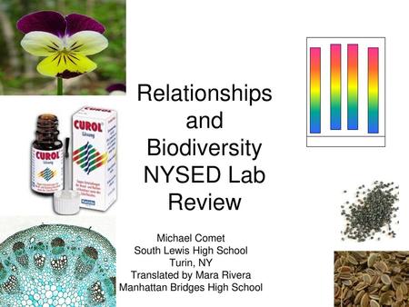 Relationships and Biodiversity NYSED Lab Review