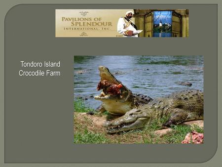 Tondoro Island   Crocodile Farm