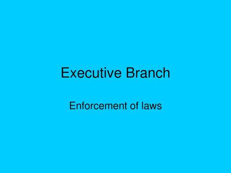 Executive Branch Enforcement of laws.