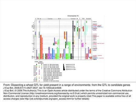 Fig. 1 Location of QTLs for yield and the yield components ears per plant (E), grains per ear (G), and TGW (T) on chromosome 7A from 27 (site×year×treatment)