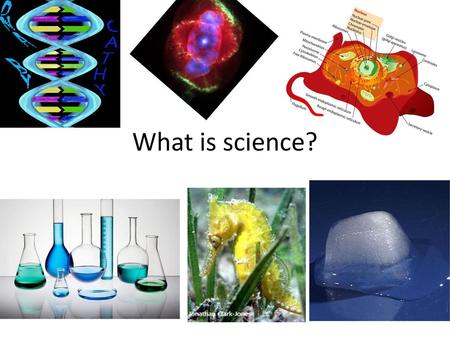 What is science?.