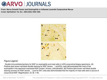 Invest. Ophthalmol. Vis. Sci ;43(6): Figure Legend: