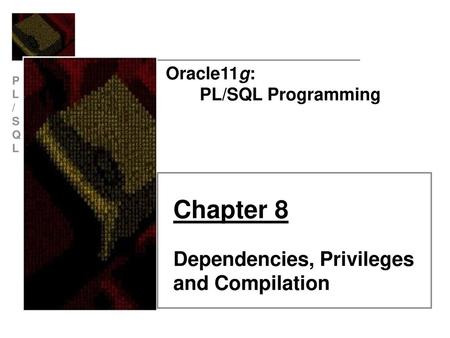 Chapter 8 Dependencies, Privileges and Compilation Oracle11g: