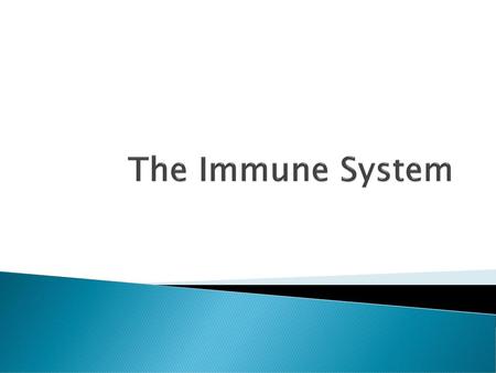 The Immune System.