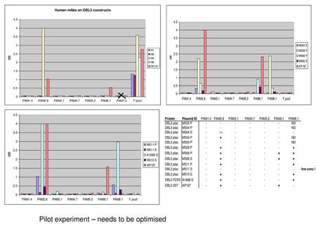 Pilot experiment – needs to be optimised