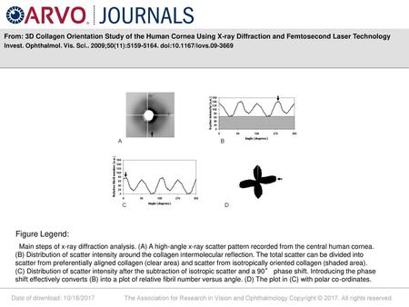 From: 3D Collagen Orientation Study of the Human Cornea Using X-ray Diffraction and Femtosecond Laser Technology Invest. Ophthalmol. Vis. Sci.. 2009;50(11):5159-5164.