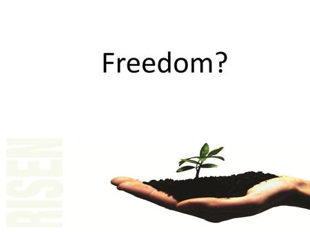 Freedom?.