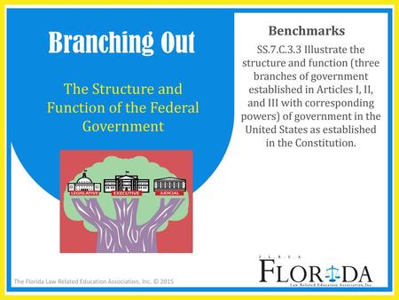 The Structure and Function of the Federal Government