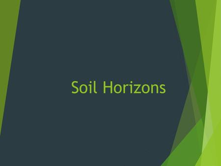 Soil Horizons.