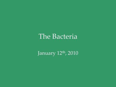 The Bacteria January 12th, 2010.