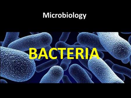 Microbiology BACTERIA DAY 1.