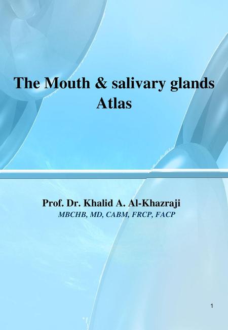 The Mouth & salivary glands Atlas