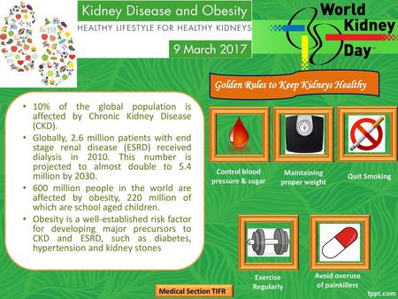 Golden Rules to Keep Kidneys Healthy