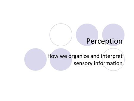 How we organize and interpret sensory information