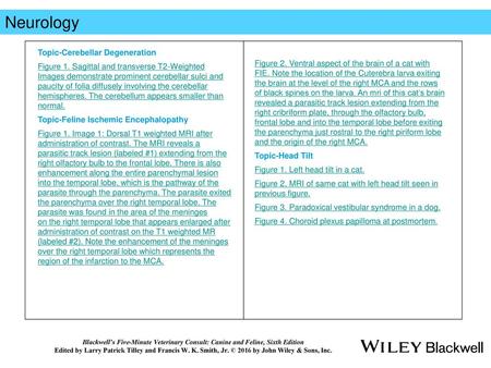 Neurology Topic-Cerebellar Degeneration