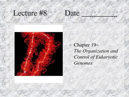 Lecture #8 Date _________