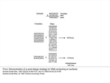 Figure 1 Template-map sets used to generate a set of 108 8mers that contain 50% G/C content and are 4bm complements and reversals. 8mers are generated.