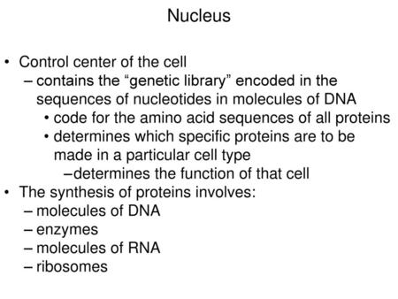 Nucleus Control center of the cell