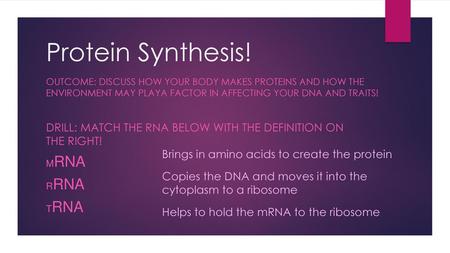 Protein Synthesis! Outcome: Discuss how your body makes proteins and how the environment may playa factor in affecting your DNA and traits! Drill: Match.