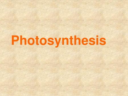 Photosynthesis.