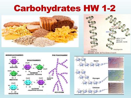 Carbohydrates HW 1-2.