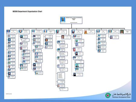 MSEM Department Organization Chart