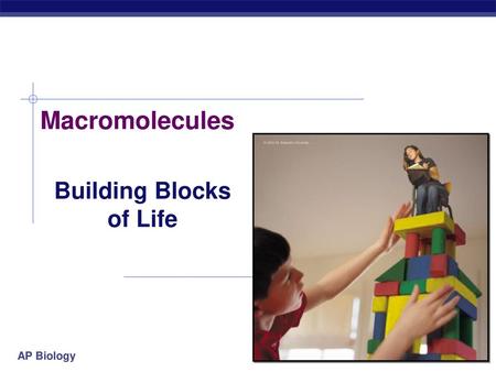 Building Blocks of Life