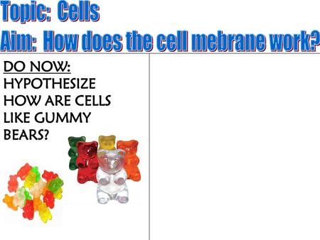 Aim: How does the cell mebrane work?