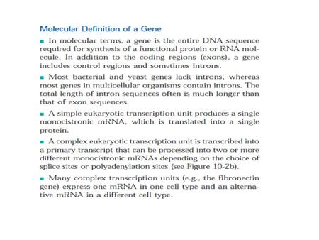 Organization of DNA Within a Cell