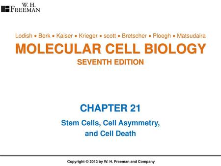 MOLECULAR CELL BIOLOGY