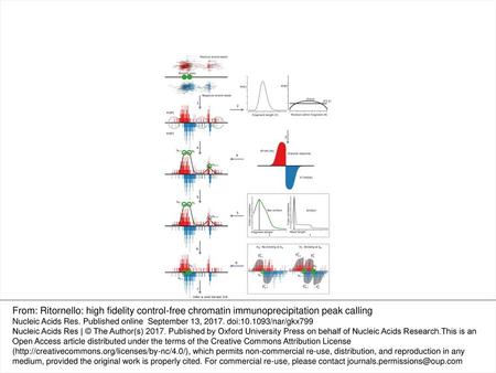 Figure 1. Overview of the Ritornello approach