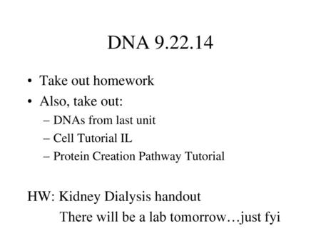 DNA Take out homework Also, take out: