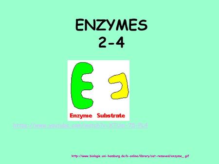 ENZYMES 2-4 https://www.youtube.com/watch?v=XTUm-75-PL4