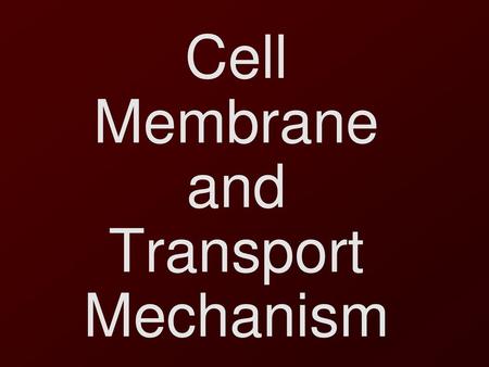 Cell Membrane and Transport Mechanisms