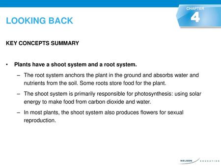 4 LOOKING BACK KEY CONCEPTS SUMMARY